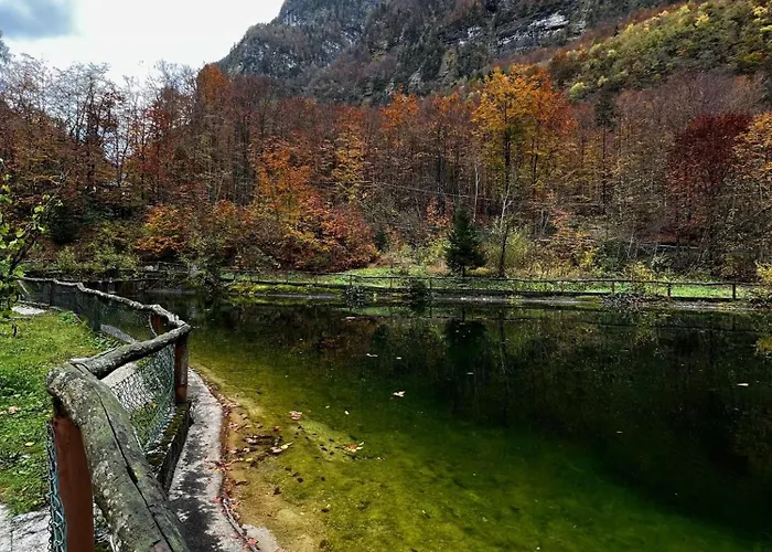 Σαλέ ~chalet_rifugio Tra I Boschi~
